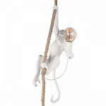 Подвесной светильник Loft it Monkey 10314P, фото 2