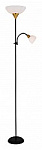 Торшер с подсветкой Arte Lamp Duetto A9569PN-2BK