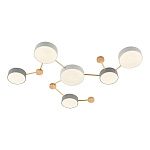 SLE600102-06 Светильник потолочный Золотистый, Светлое дерево/Белый, Серый LED 6*15W 4000K ДОССЕНА, фото 3