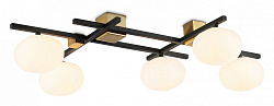 Потолочная люстра Ambrella Light LH LH51015, фото 2