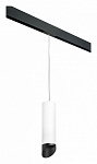 Подвесной светильник Lightstar Rullo PRORP649687, фото 2