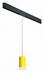 Подвесной светильник Lightstar Rullo PRORP43330