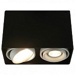 Накладной светильник Arte Lamp 5655 A5655PL-2BK