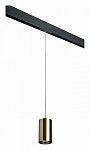 Подвесной светильник Lightstar Rullo PRORP431, фото 2