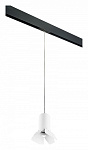 Подвесной светильник Lightstar Rullo PRORP436436, фото 2