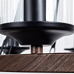Подвесная люстра Arte Lamp Dalim A7014SP-8BK, фото 4