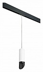 Подвесной светильник Lightstar Rullo PRORP48637, фото 1