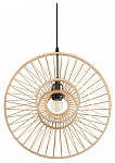 Подвесной светильник Lumion ECO 8383/1