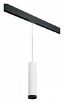 Подвесной светильник Lightstar Rullo PRORP4963437, фото 2