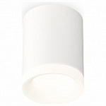 Накладной светильник Ambrella Light XS XS7421024