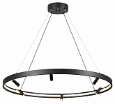 Подвесная люстра Odeon Light Fonda 4317/93L, фото 4