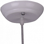 Подвесной светильник Arte Lamp Passero A4289SP-1WH, фото 4
