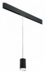 Подвесной светильник Lightstar Rullo PRORP4373436, фото 2