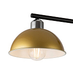 Люстра Freya FR4007PL-06B, фото 3