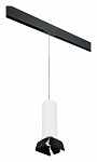 Подвесной светильник Lightstar Rullo PRORP6496487, фото 2