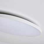 Накладной светильник Lightstar Arco Eco 225751, фото 4