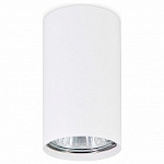 Накладной светильник Ambrella Light TN TN213108