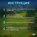 Наземный высокий светильник Эра  SL-PL155-PST, фото 4