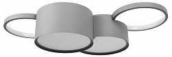 Потолочная люстра Loft it Pin 10317/4 Grey, фото 3