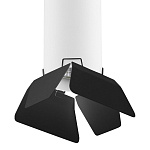 Подвесной светильник Lightstar Rullo RP496437, фото 3