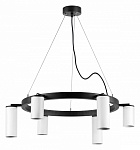 Подвесная люстра Lightstar Rullo LR016363863, фото 3