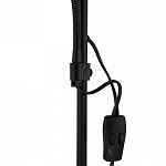 Торшер с подсветкой Arte Lamp Duetto A9569PN-2BK, фото 4