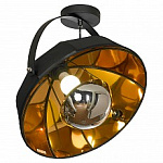 Потолочный светильник Lussole LSP-0556-C