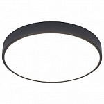 Накладной светильник Arte Lamp Arena A2661PL-1BK, фото 1