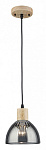 Подвесной светильник Arte Lamp Lancaster A5869SP-1BK, фото 3