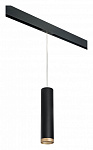 Подвесной светильник Lightstar Rullo PRORP49740, фото 2