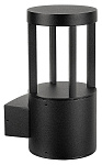 Накладной светильник Arte Lamp CARCASSA A4666AL-1BK