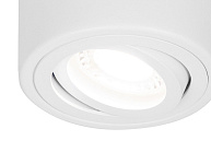 Накладной светильник Ambrella Light TN TN225, фото 4