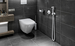 Смеситель встроенный с гигиеническим душем Timo Saona 2389/16SM белый матовый, фото 2