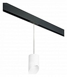 Подвесной светильник Lightstar Rullo PRORP348686