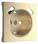 Накладка для розетки с заземлением и 2хUSB Werkel шампань рифленый W1179510, фото 2