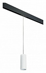 Подвесной светильник Lightstar Rullo PRORP486, фото 1