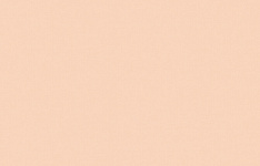 ARTS17 003 Обои Artsimple (1*6) 10,05x1,00 флизелин