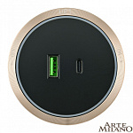 Розетка USB и type C на треке Arte Milano Am-track-sockets 380066TS LED/USB-Type-C Gold, фото 4