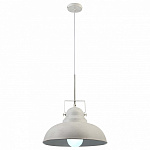 Подвесной светильник Arte Lamp Martin A5213SP-1WG, фото 3