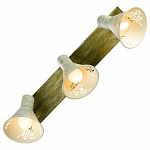 Спот Lussole LSP-8059, фото 1
