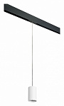 Подвесной светильник Lightstar Rullo PRORP436, фото 2