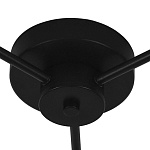 Потолочная люстра Lightstar Fico II 740137, фото 4