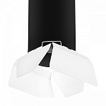 Подвесной светильник Lightstar Rullo RP6497486, фото 4