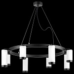 Подвесная люстра Lightstar Rullo LR01836486440, фото 4
