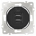 Розетка USB, без рамки Arte Milano am-202 202.46-1.black