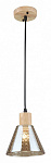 Подвесной светильник Arte Lamp Lancaster A5891SP-1BK, фото 3