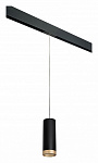 Подвесной светильник Lightstar Rullo PRORP48740, фото 2