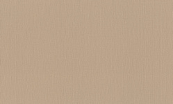 981520 Обои Rasch (1*6) 10,05x1,06 винил на флизелине, фото 1