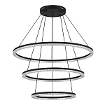 SL1018.403.03 Светильник подвесной ST-Luce черный/прозрачный LED 1*130W 4000K ЭВКЛИДИК, фото 2