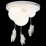Накладной светильник Loft it Teddy 10030, фото 3